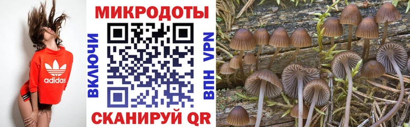 Галлюциногенные грибы мухоморы  Купить  Миньяр 